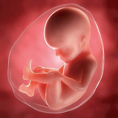 اكلات مفيدة للحامل ولـ الجنين في بطن امه